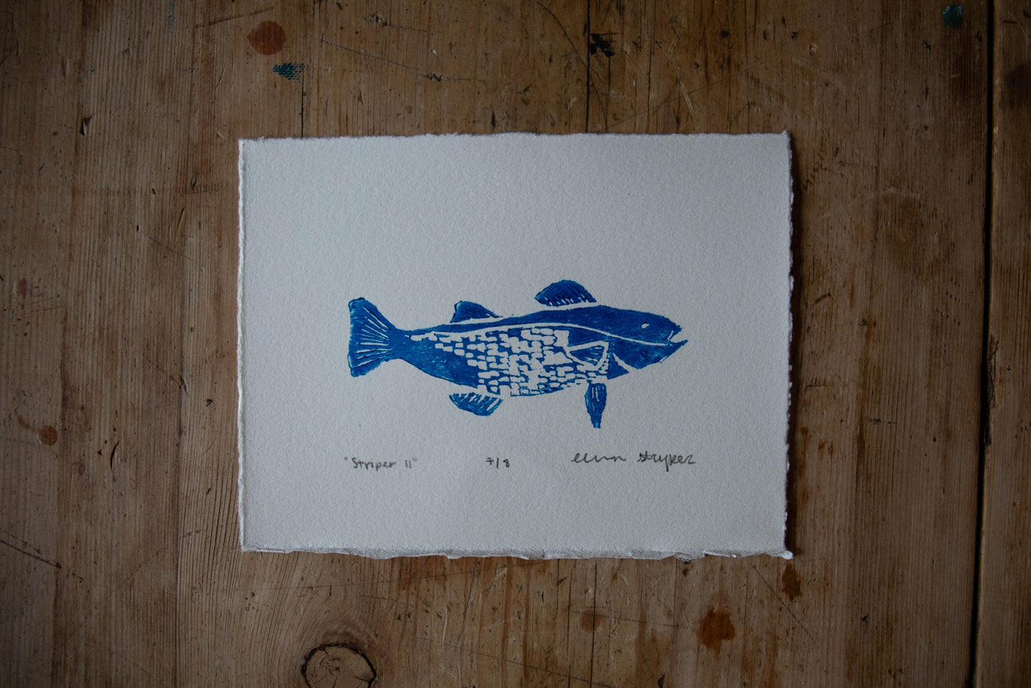 Striper no.2
