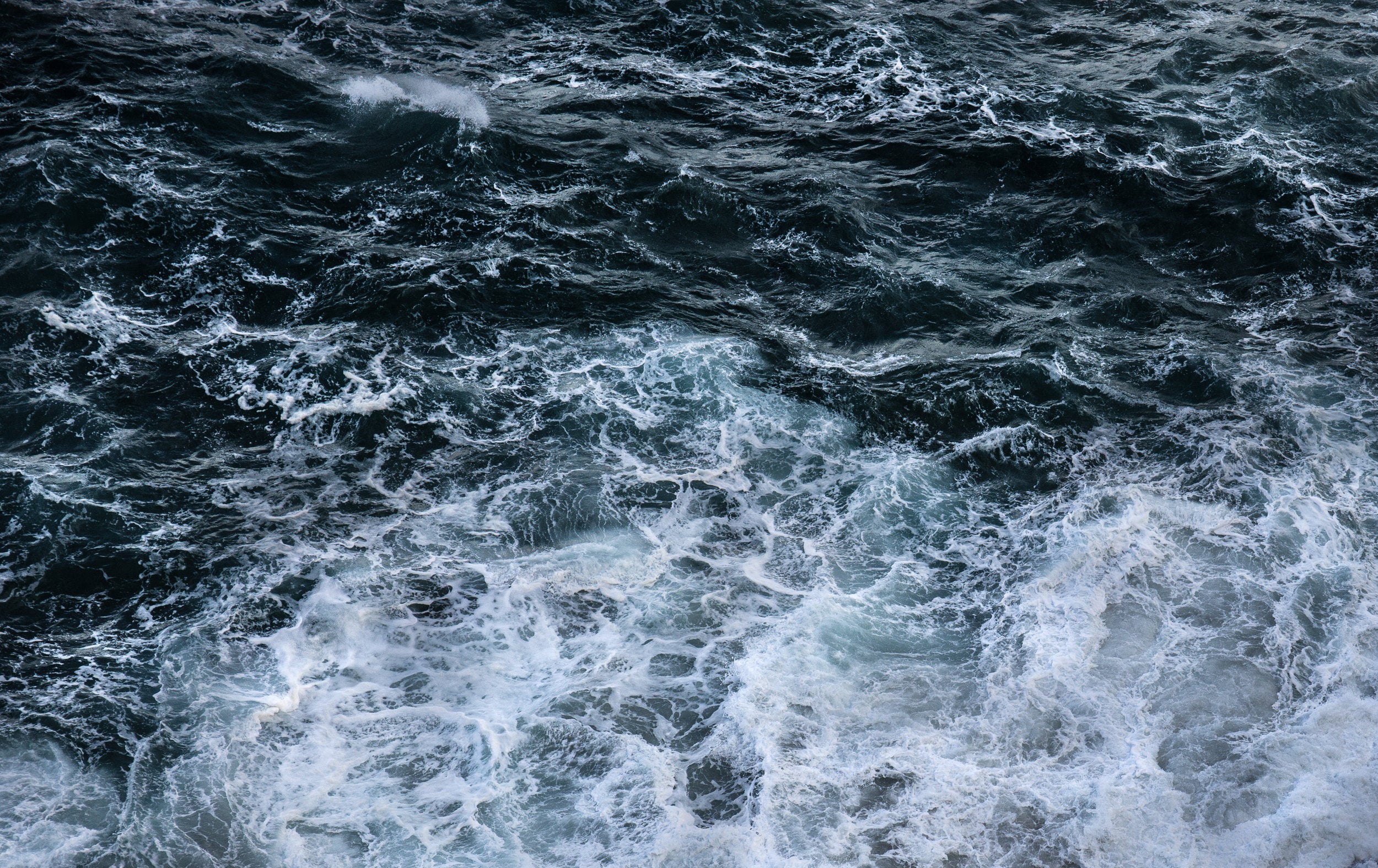 44A5457.jpg