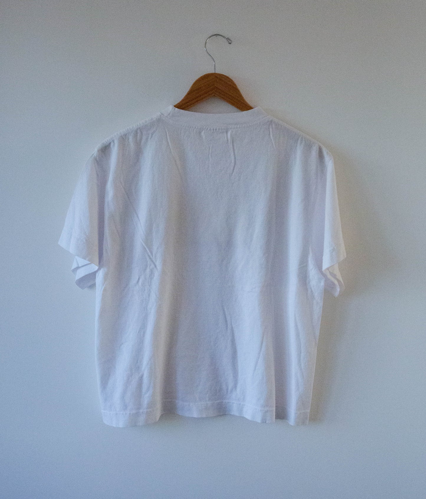 Striped Mountain Horse Tee in White, no.1
