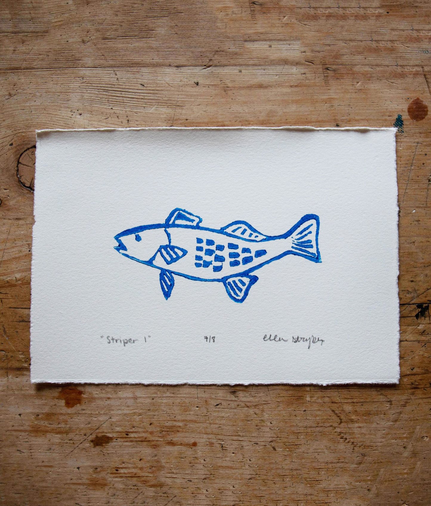 Striper no.1