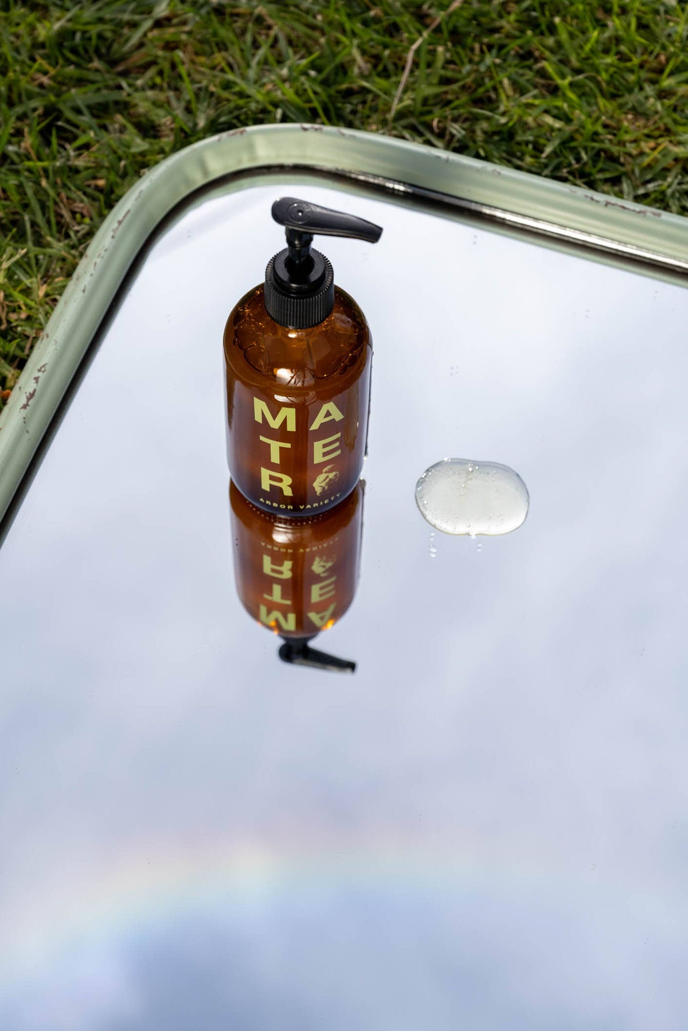 Arbor Hand + Body Soap