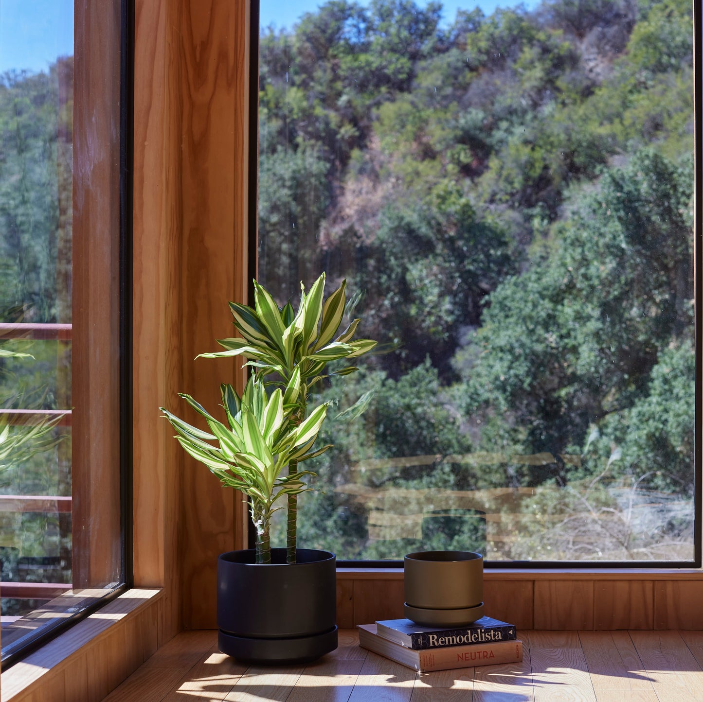 Round Two Planter by Revival Ceramics