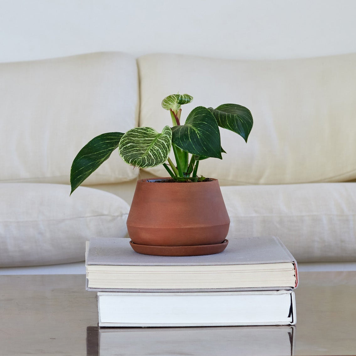 Rancho Planter by Revival Ceramics
