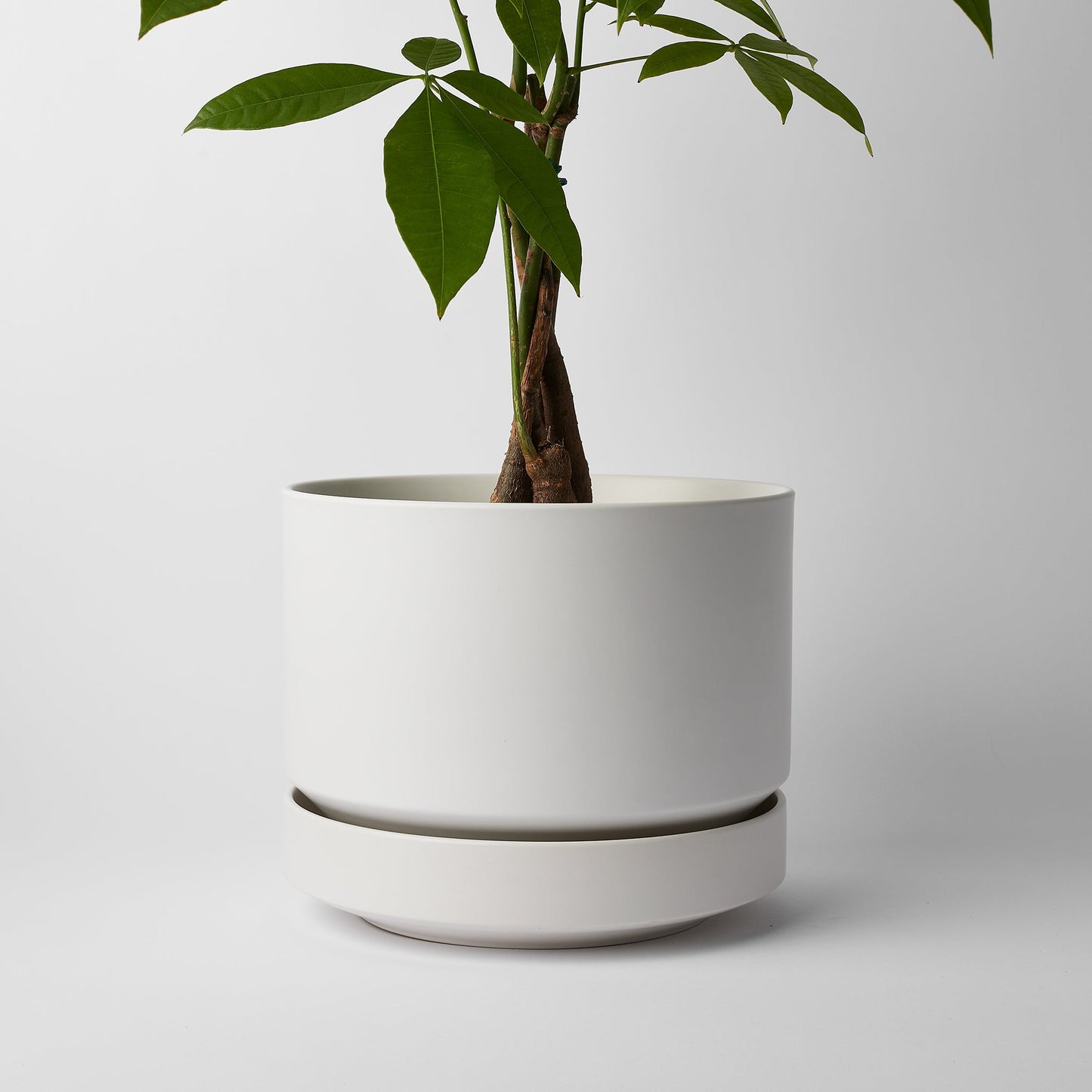 Round Two Planter by Revival Ceramics