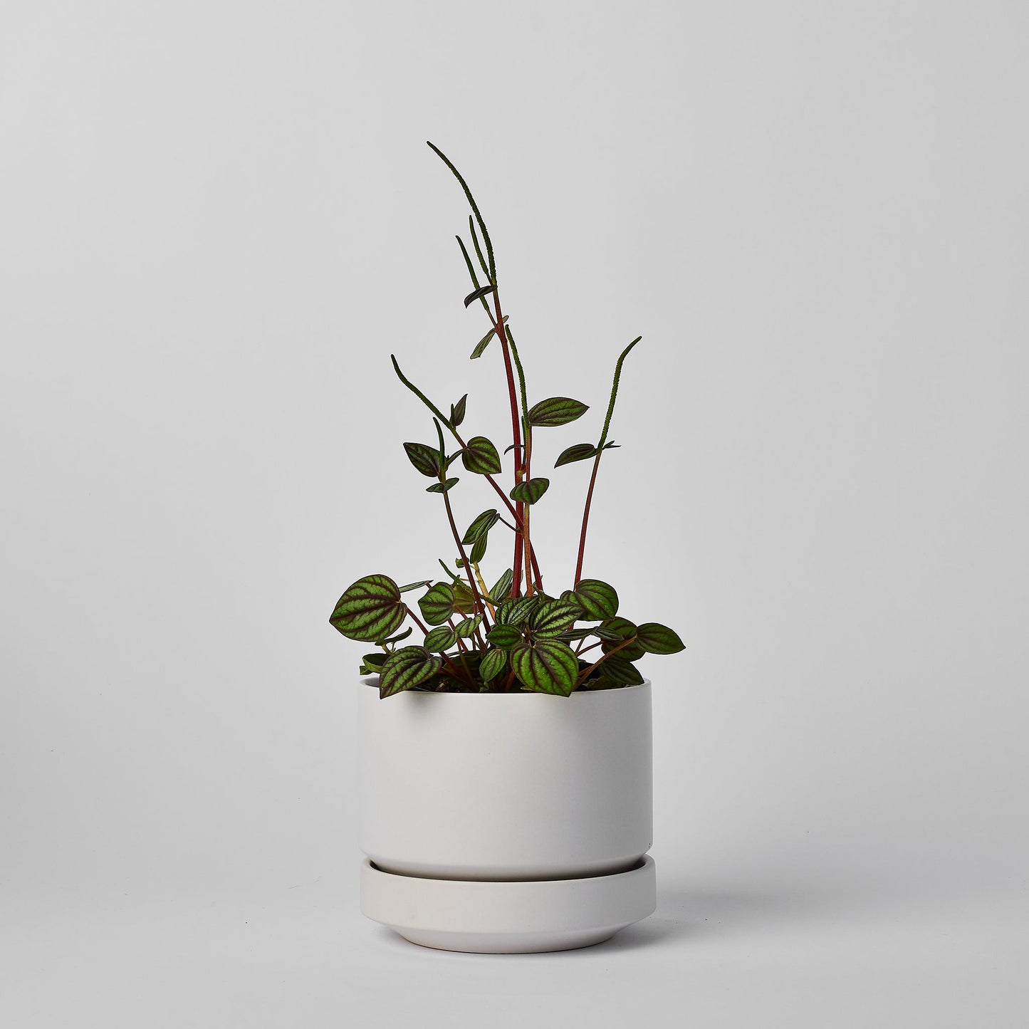 Round Two Planter by Revival Ceramics