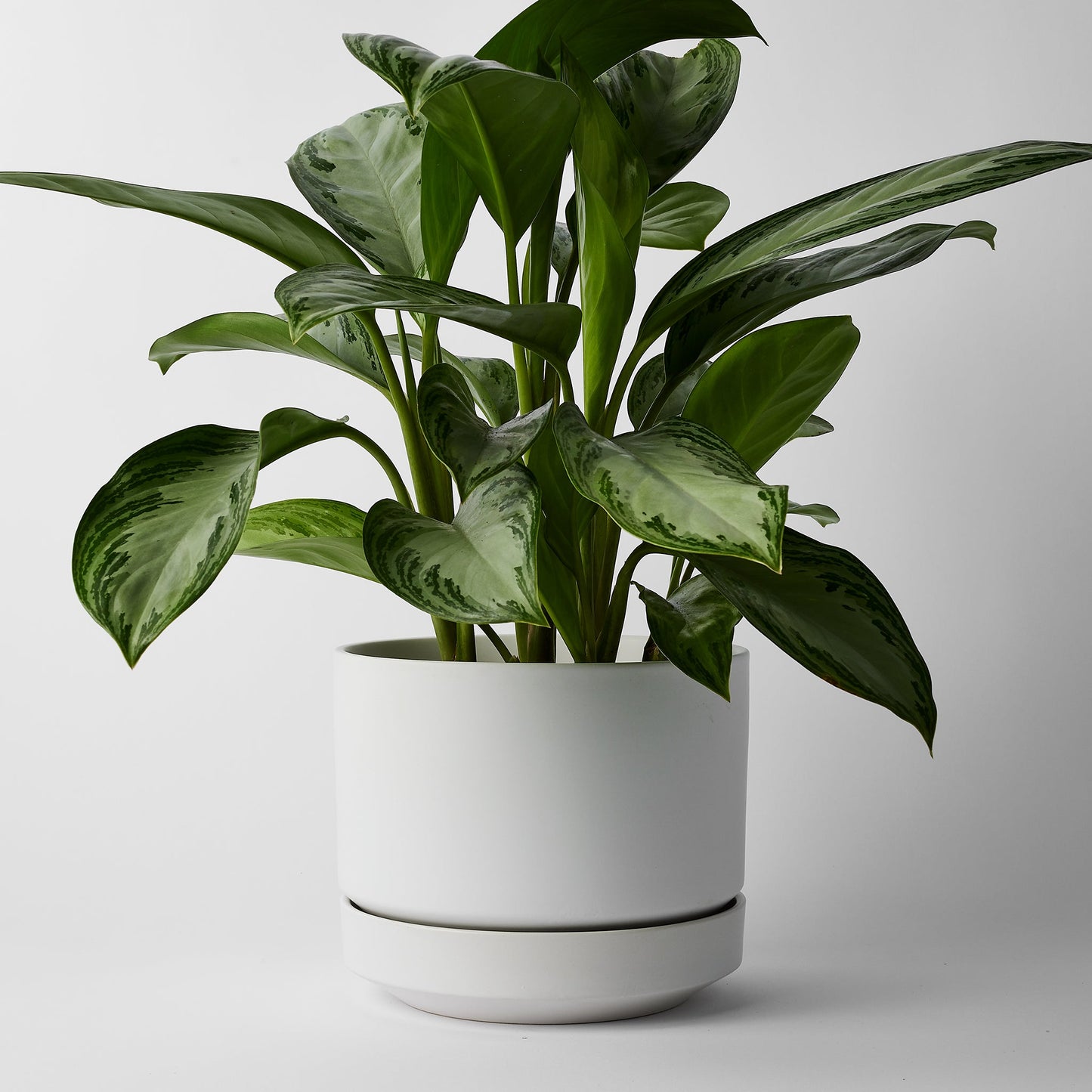 Round Two Planter by Revival Ceramics