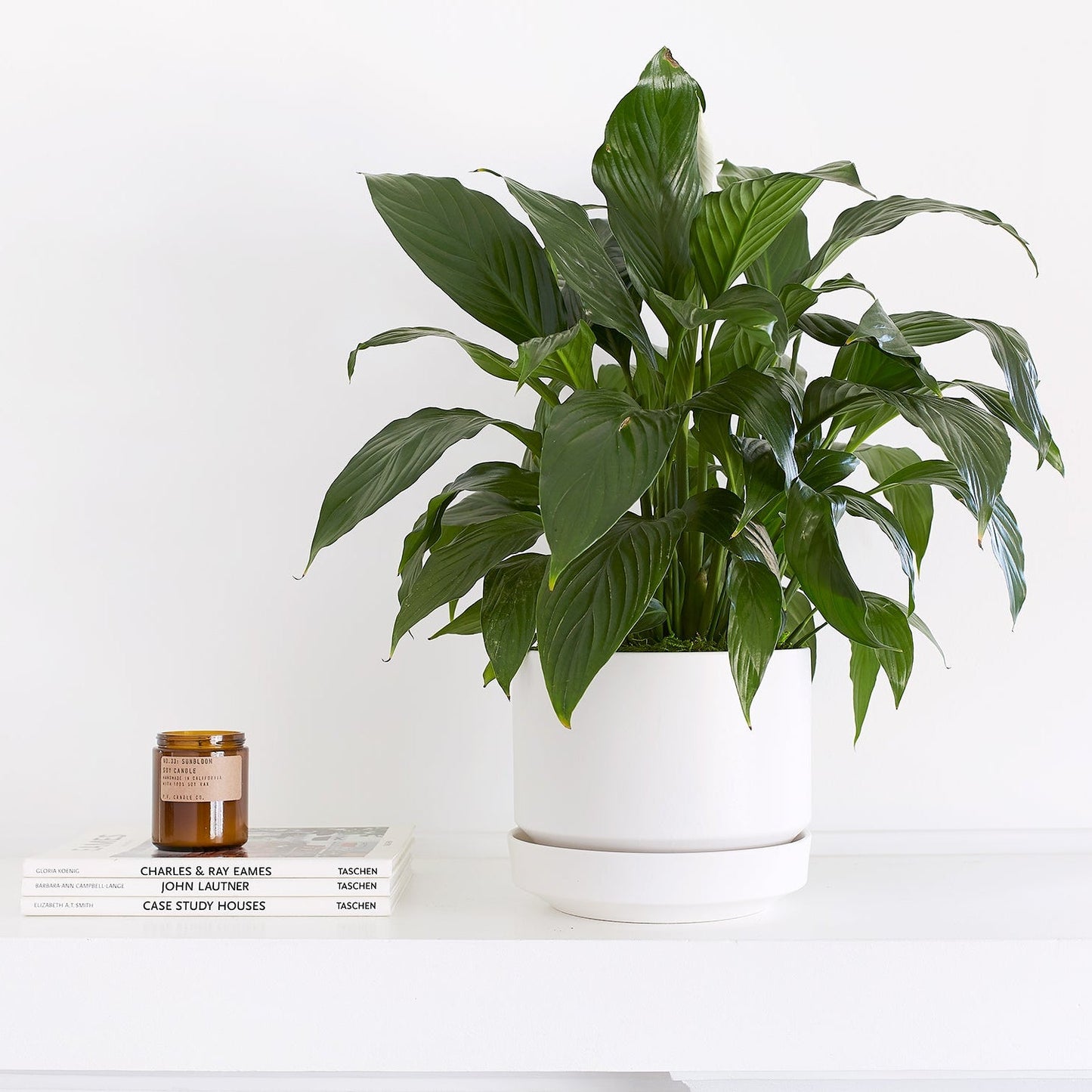 Round Two Planter by Revival Ceramics