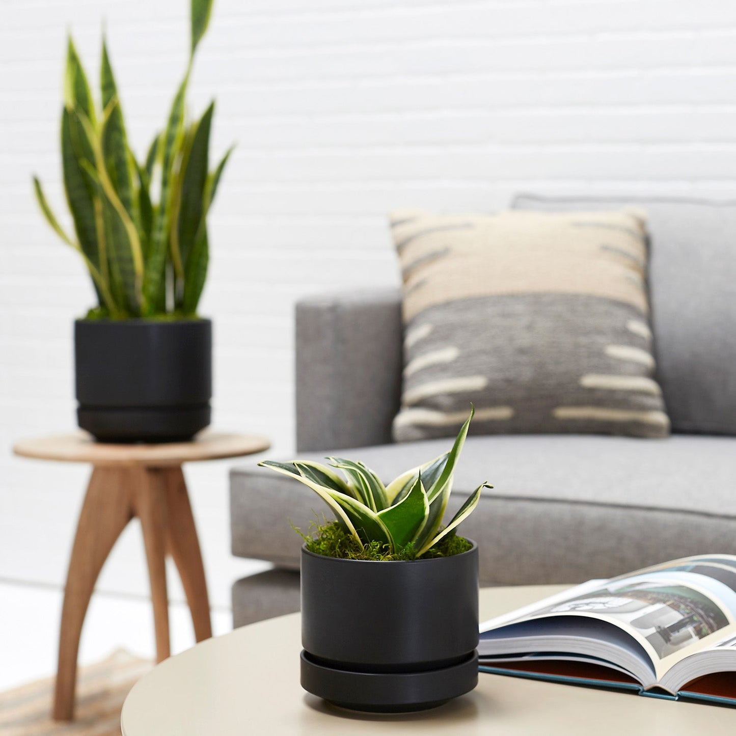 Round Two Planter by Revival Ceramics