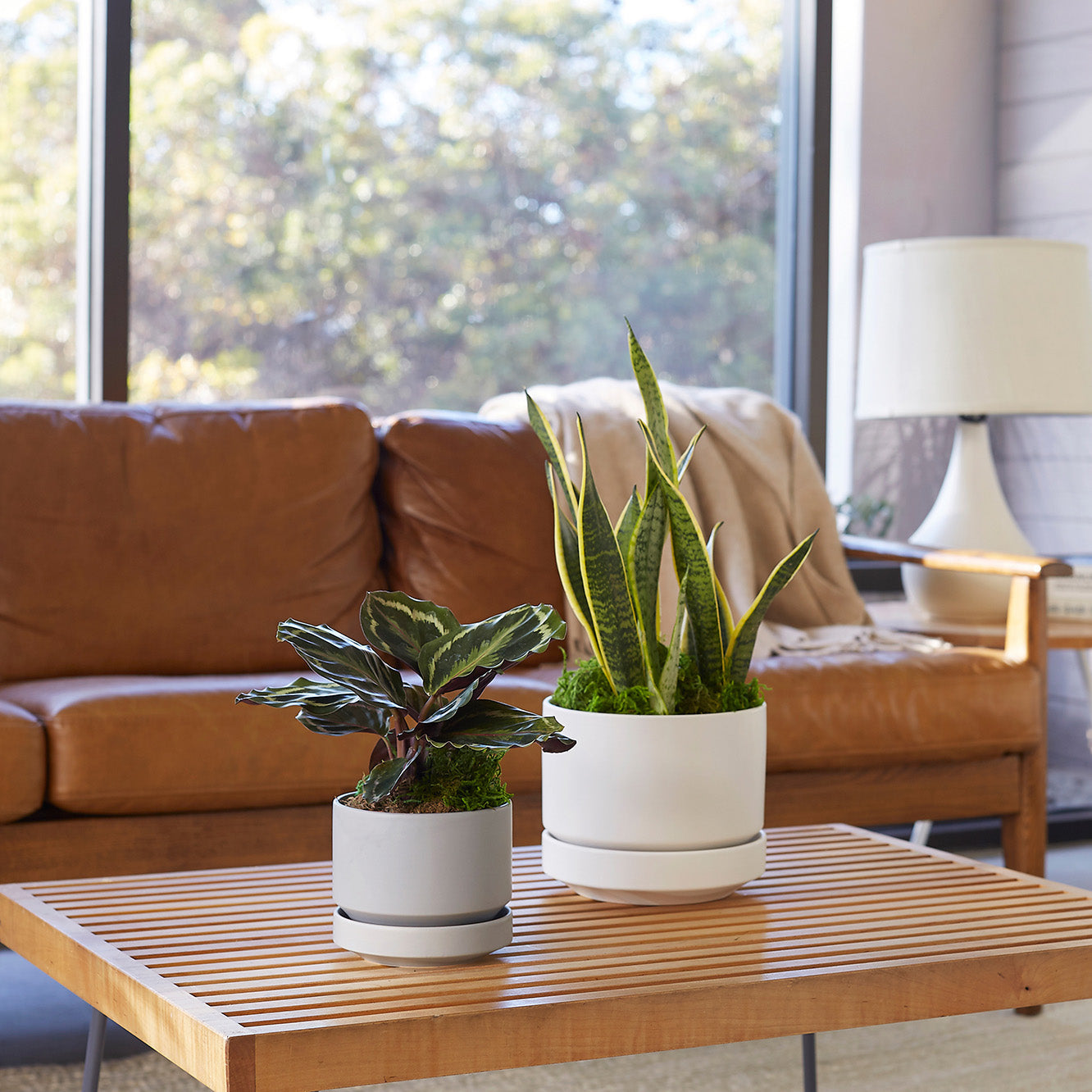 Round Two Planter by Revival Ceramics
