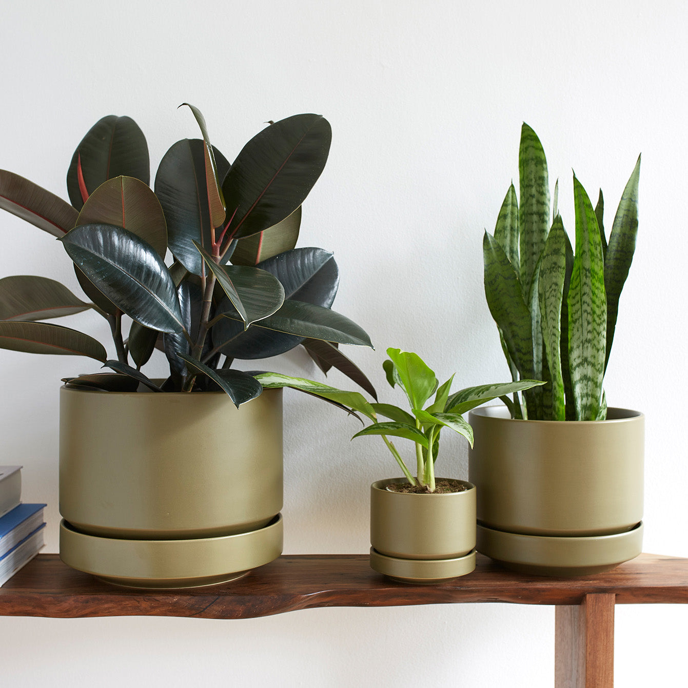 Round Two Planter by Revival Ceramics