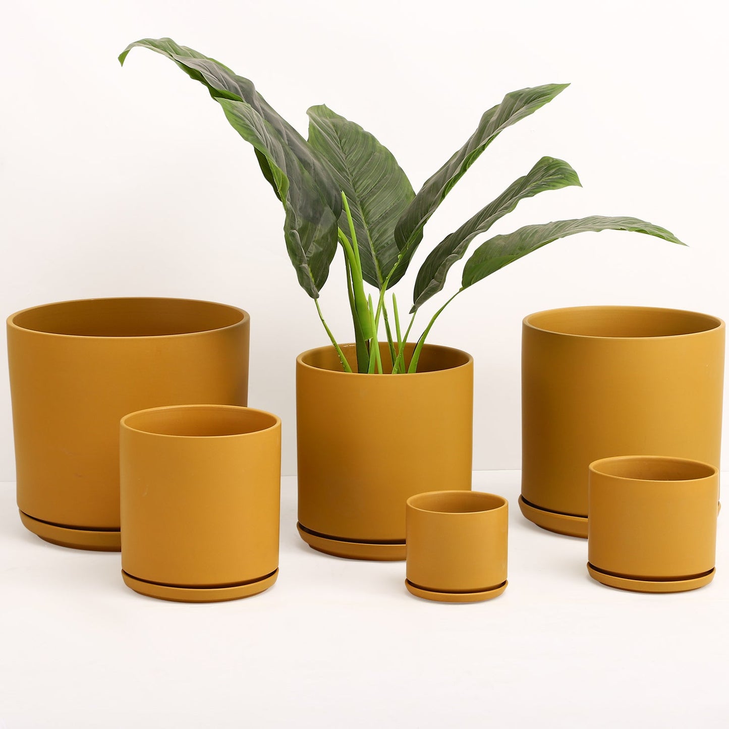 The Cylinder Planter, G2 by Revival Ceramics